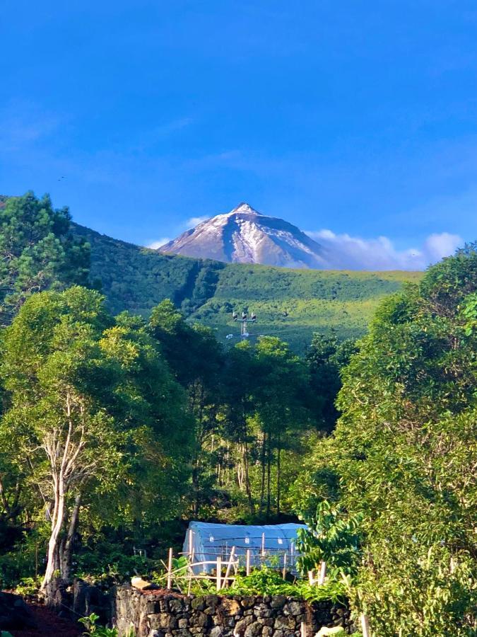 Quinta Pereirinha Farm - A Private 3 Bedroom Vacation Home, Close To Hiking W Ocean Views - Pico Island, Azores São Roque do Pico Exterior foto